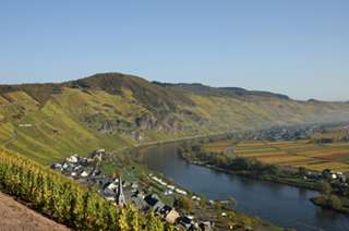 Mittelmosel - Ürzig