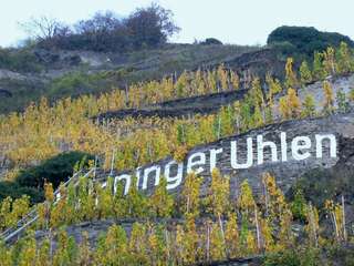 Terrassenmosel (D) - Winningen Uhlen